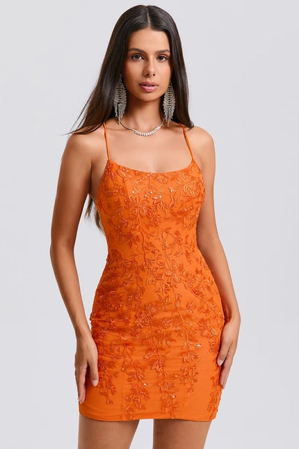 Moulante col rond mini dentelle robe de bal de promo avec paillettes
